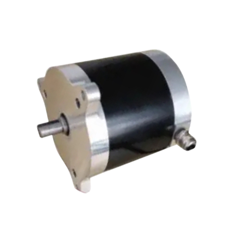 BL100 100mm Diameter Electric Forklift Motor na may 24VDC 300W