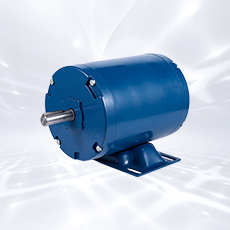 AC Induction Motors