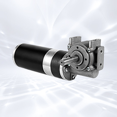 Mga Espesyal na Motors at Robotics Motors