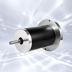 Brushed DC motor