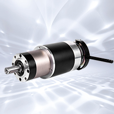 Mga gear motor